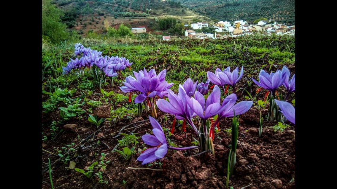 Casa Rural Ribera De Salobre Guest House ภายนอก รูปภาพ